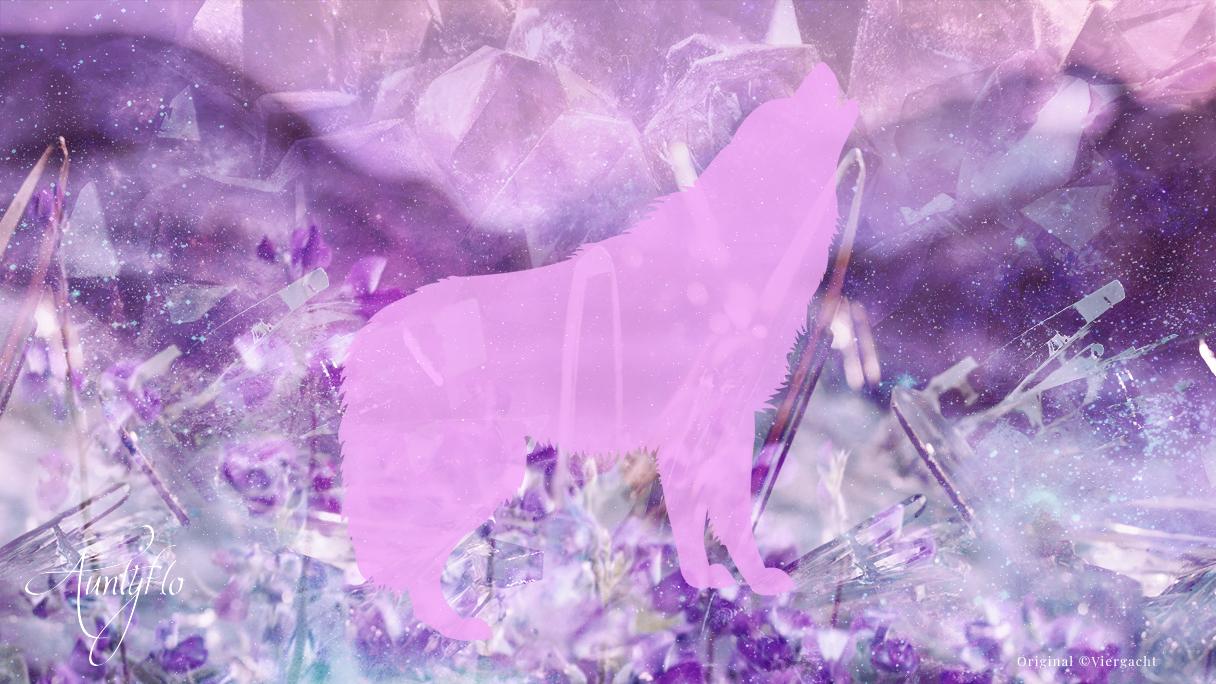 Black Wolf Dream Meaning & Interpretation